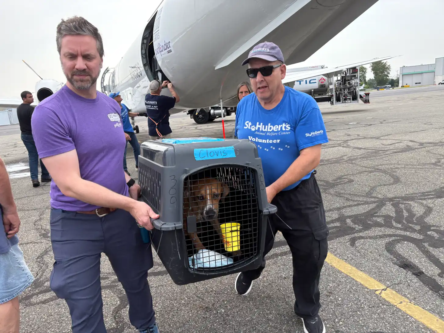 Two volunteers in purple and blue St. Huberts Animal Welfare Center shirts carry a pet carrier labeled "Clovis" containing a brown dog on an airport tarmac near a large cargo aircraft.