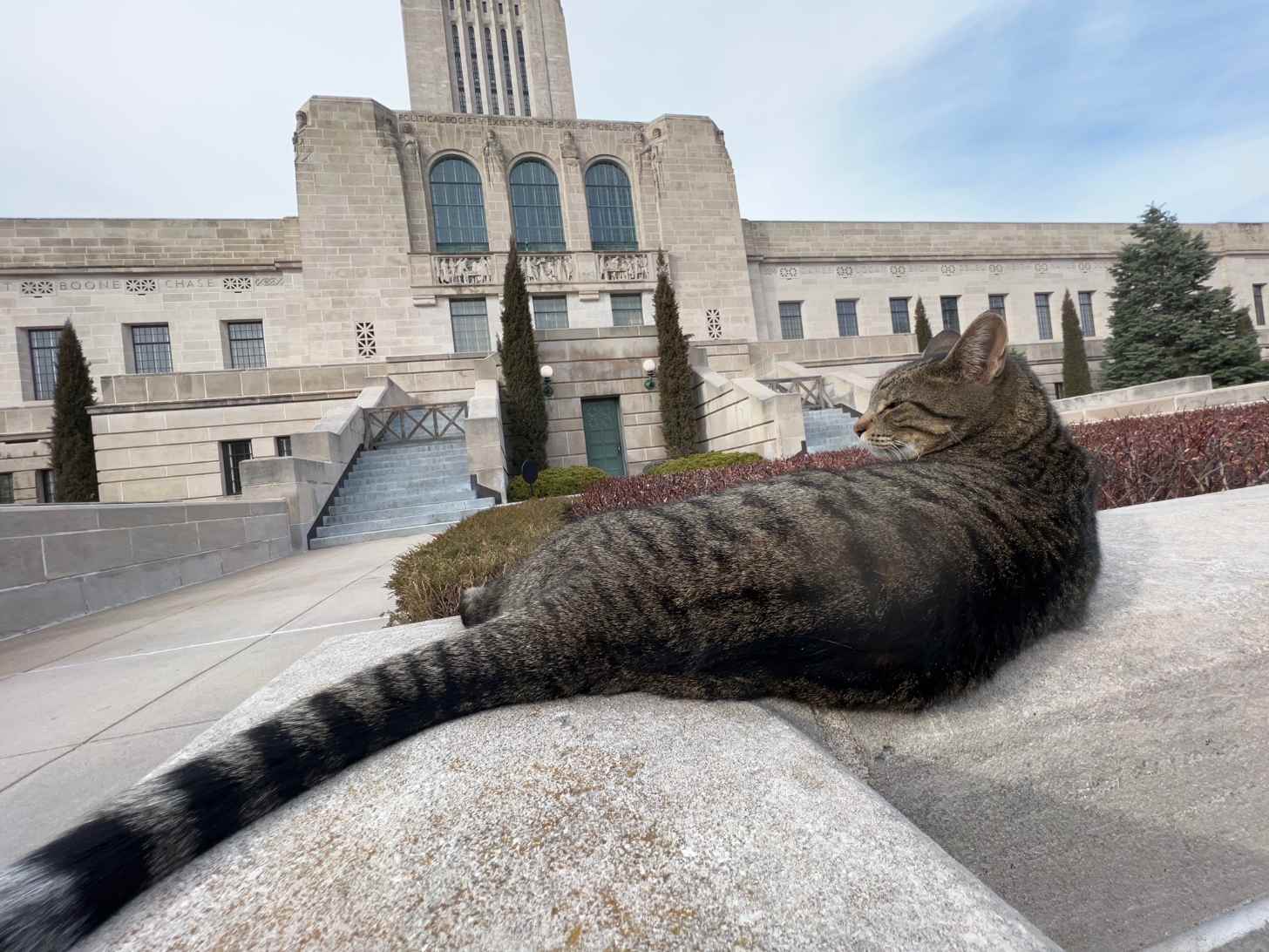 A tabby cat lies on a concrete surface in front of a large stone building with three arched windows and a tall tower. Cypress trees and dark foliage line the courtyard.