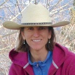Karin Kirk