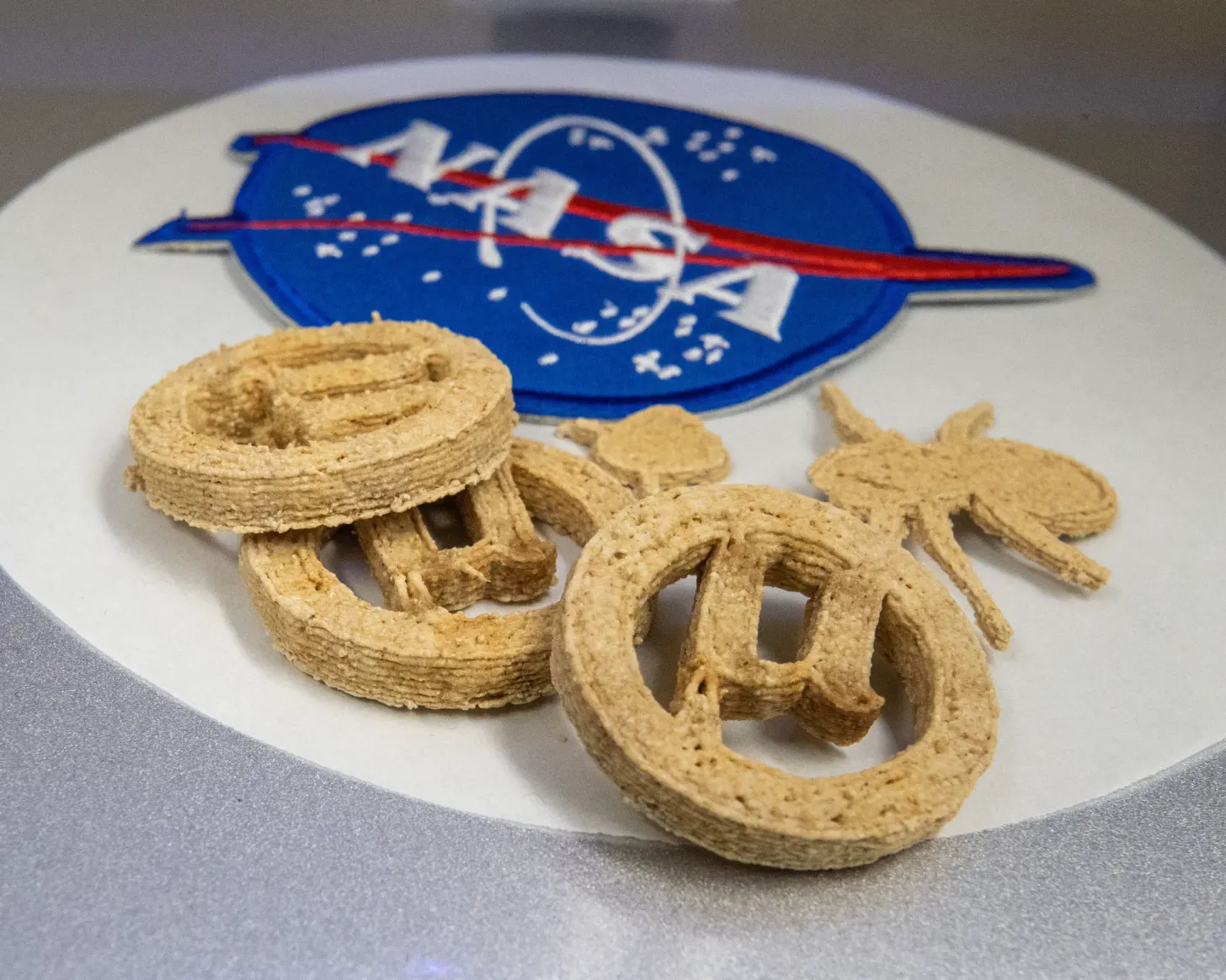 Tan-colored pastries shaped like a spiral and other forms rest on a white plate next to a NASA logo sticker featuring a blue sphere and red diagonal line.