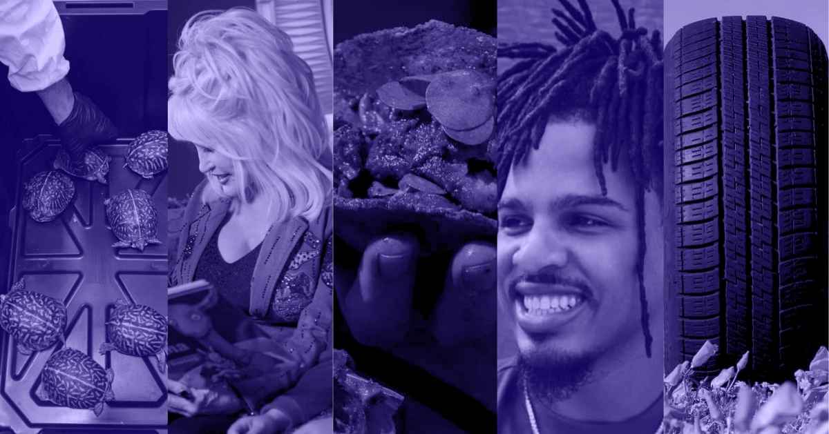 A photo collage of a bale of turtles in a container box, Dolly Parton reading a book to children, a hand holding a taco, Keith Lee, and a close up of a tire