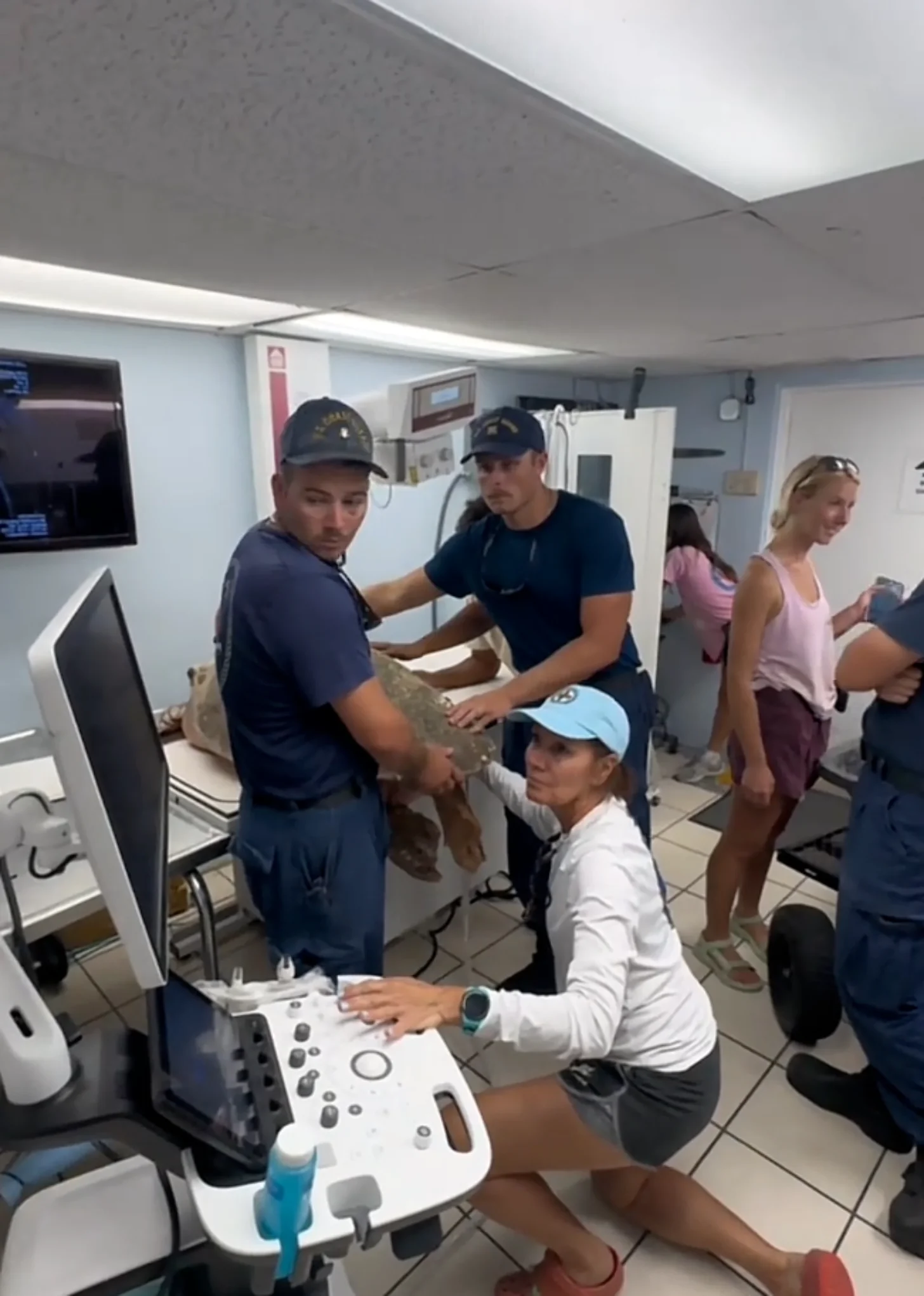 A person in a light blue cap sits at an ultrasound machine while three people in dark caps and shirts stand beside them holding a sea turtle Several other people stand in the background of a clinical room.