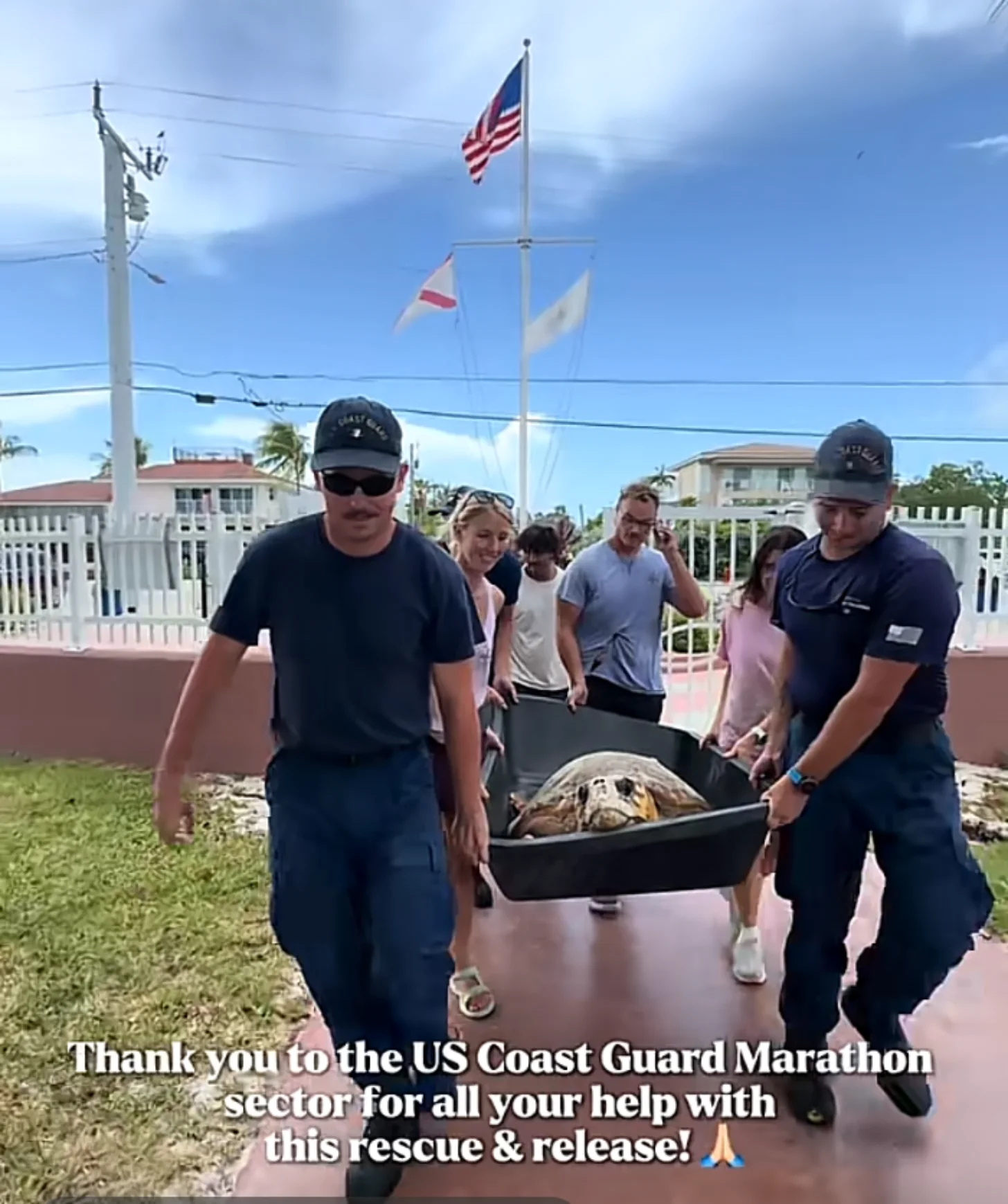 Two Coast Guard personnel carry a black stretcher containing a sea turtle during a release event. A group of people stands nearby watching, with the American flag and other flags visible on a flagpole in the background.