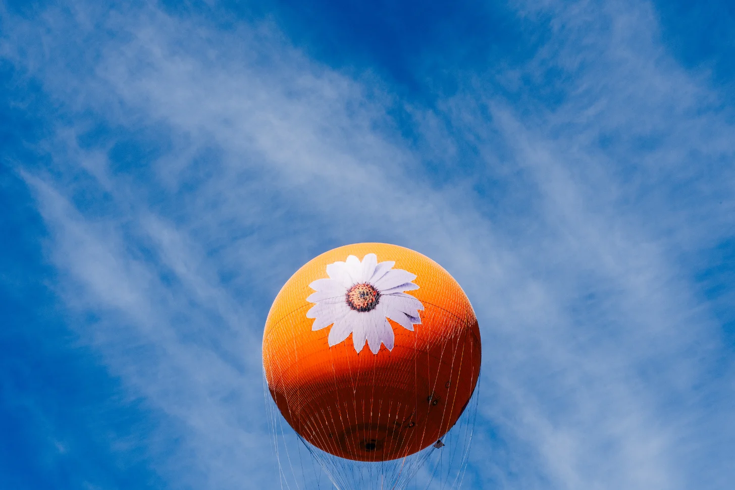 A hot air balloon with a red and orange envelope floats against a blue sky with wispy clouds. A white daisy with a pink center is painted on the balloon's surface.