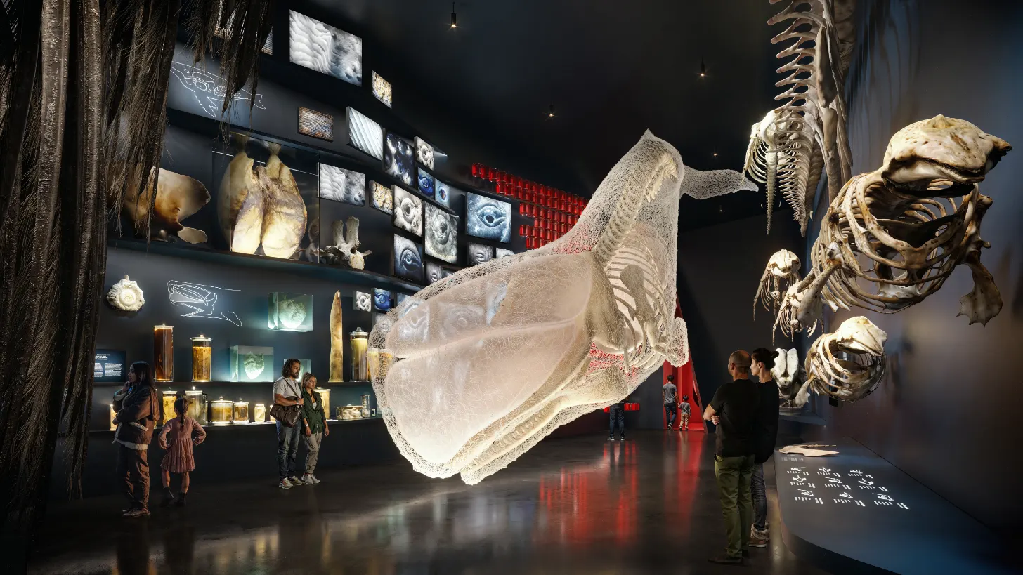 Large pale skeletal structures hang from the ceiling in a museum gallery, with visitors standing nearby. Display cases with fossils and specimens line the dark walls behind them.