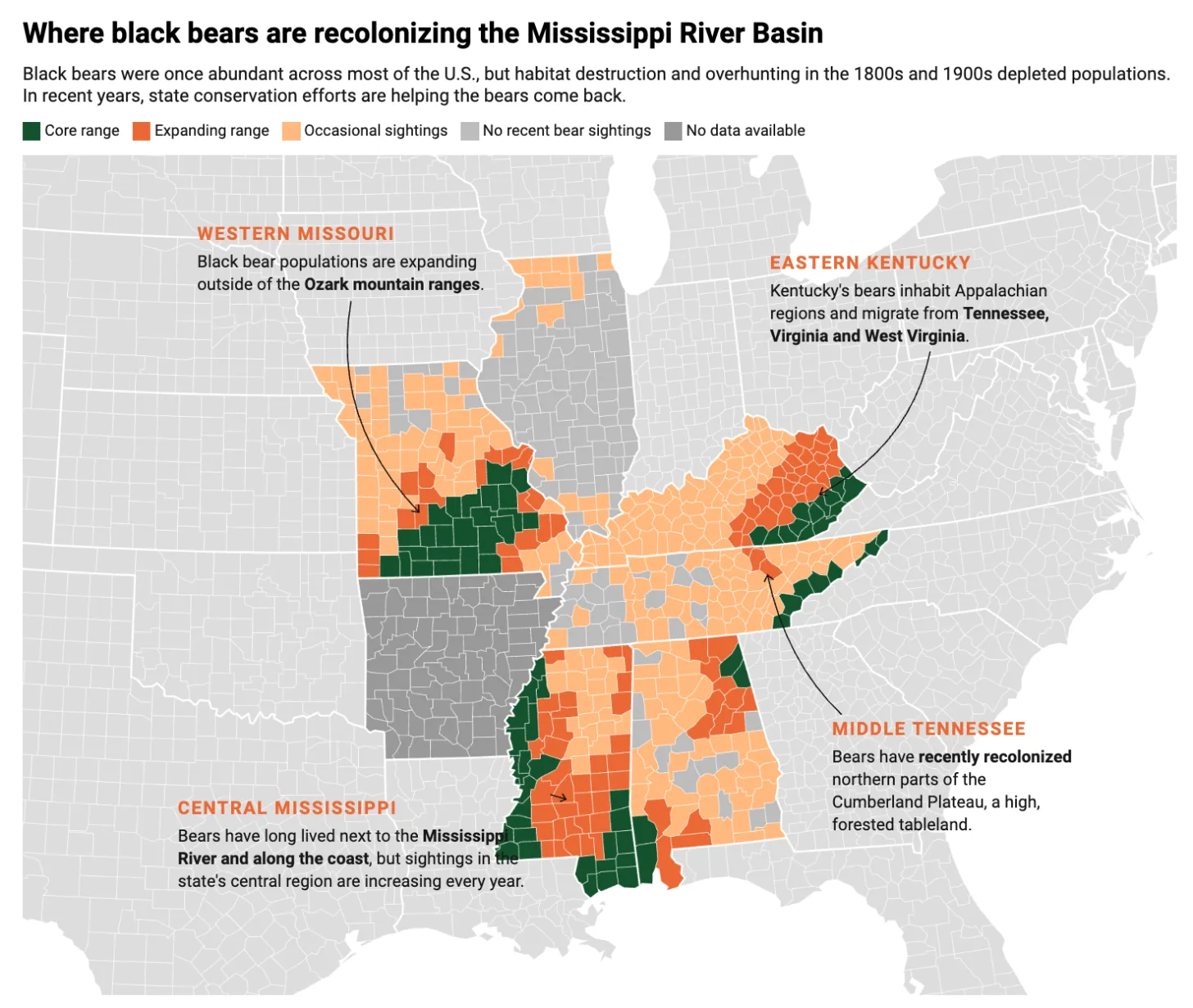 Map of the Mississippi River Basin showing black bear range by county. Dark green indicates core range; orange indicates expanding range; light tan indicates occasional sightings; gray indicates no recent bear sightings. Text labels identify four regions: Western Missouri, Eastern Kentucky, Middle Tennessee, and Central Mississippi, each with details about bear populations in those areas.