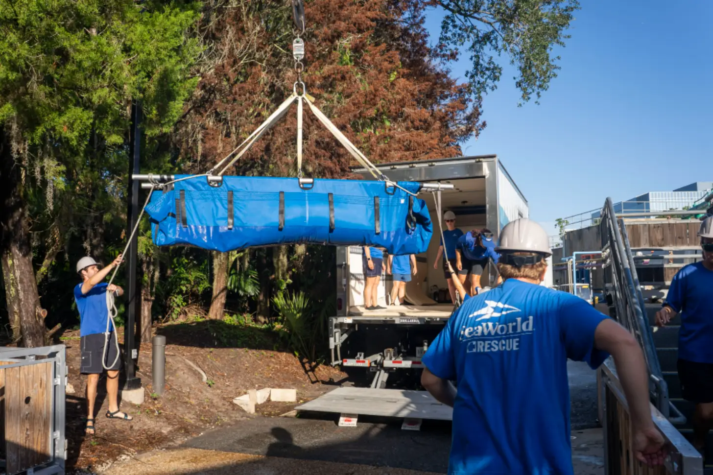 SeaWorld Rescue staff members unload a blue stretcher-like rescue device from a transport truck using an overhead lifting frame, with additional personnel visible nearby.