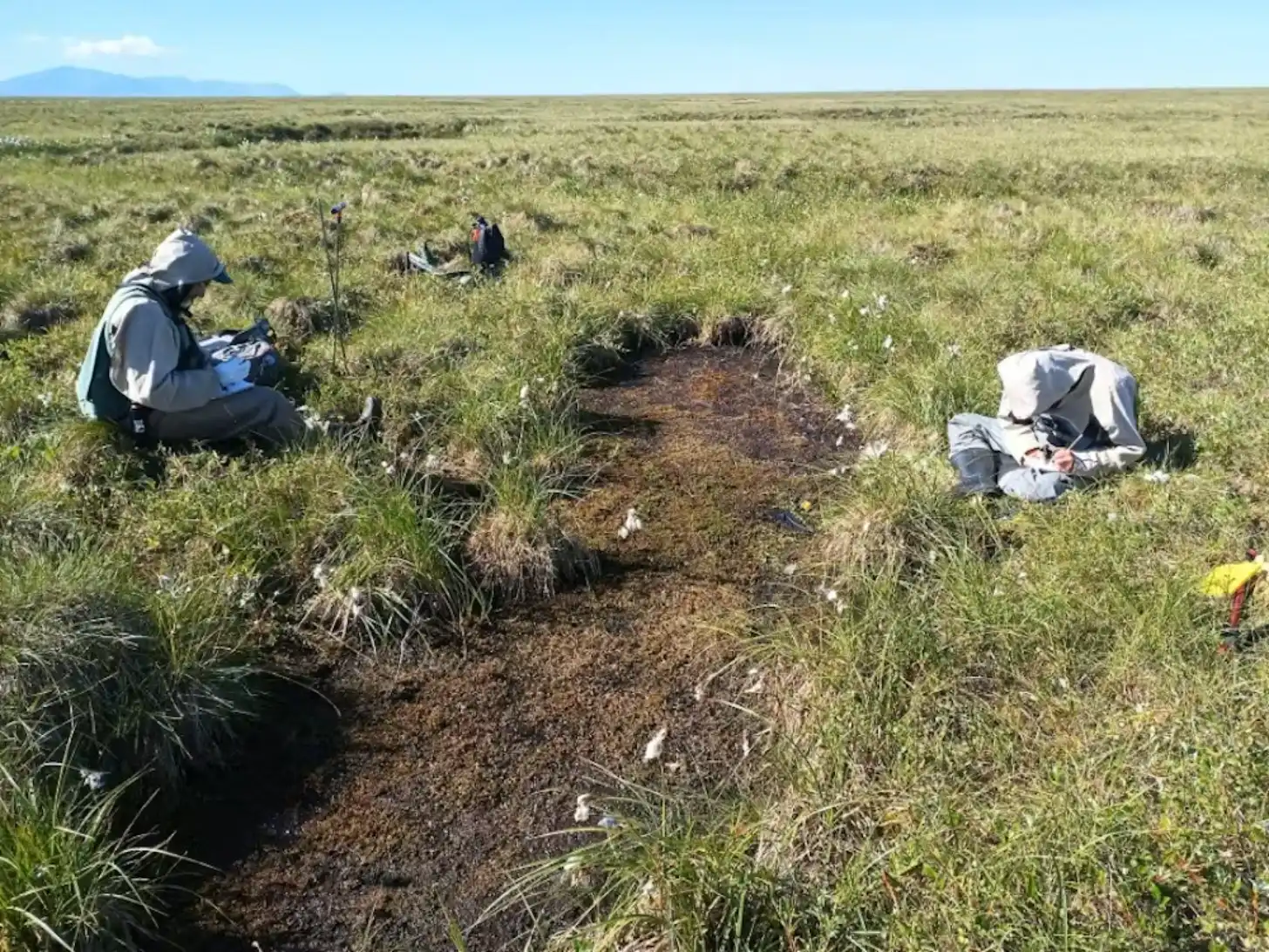 Researchers crouch and work at excavation sites in a high-altitude grassland with sparse vegetation and brown soil trenches. A snow-capped mountain is visible on the horizon.