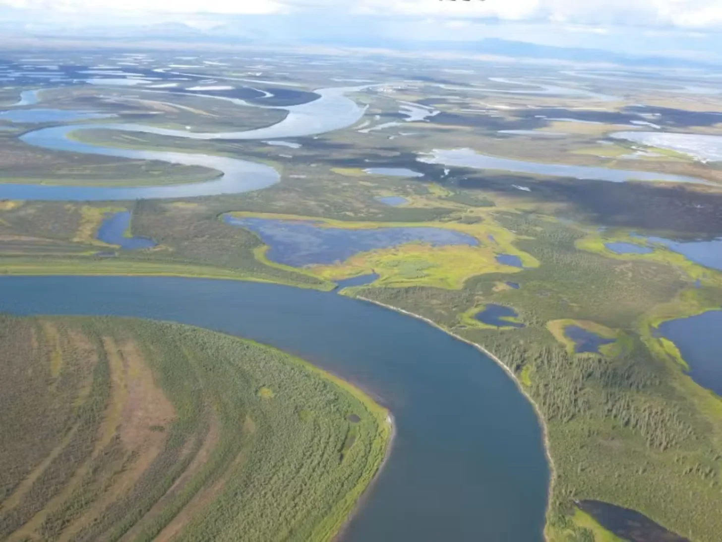 Aerial view of a boreal landscape with meandering rivers, lakes, and forests. Coniferous trees cover peninsulas and shorelines surrounding bodies of water in various shades of blue.