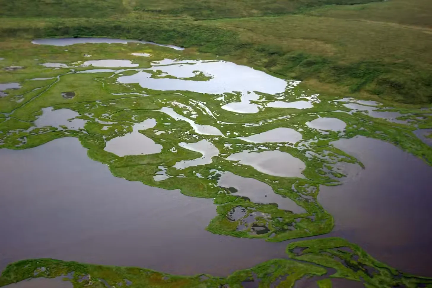 Aerial view of a wetland landscape with numerous water bodies of varying sizes scattered across bright green vegetation and winding waterways.