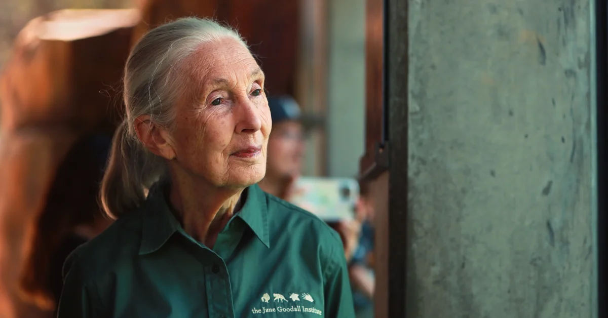 An older woman with long gray hair, Jane Goodall, wearing a dark green shirt with "the Jane Goodall Institute" visible on it looks to the side in an indoor setting with blurred figures in the background.