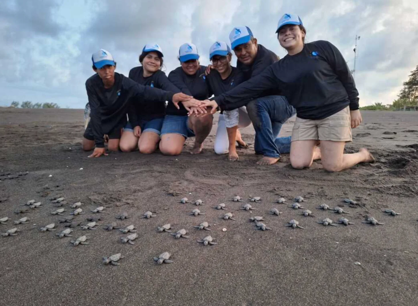 Six people wearing blue hard hats and dark clothing kneel on a beach, placing their hands together in the center, with dozens of small sea turtles crawling across the sand in front of them.