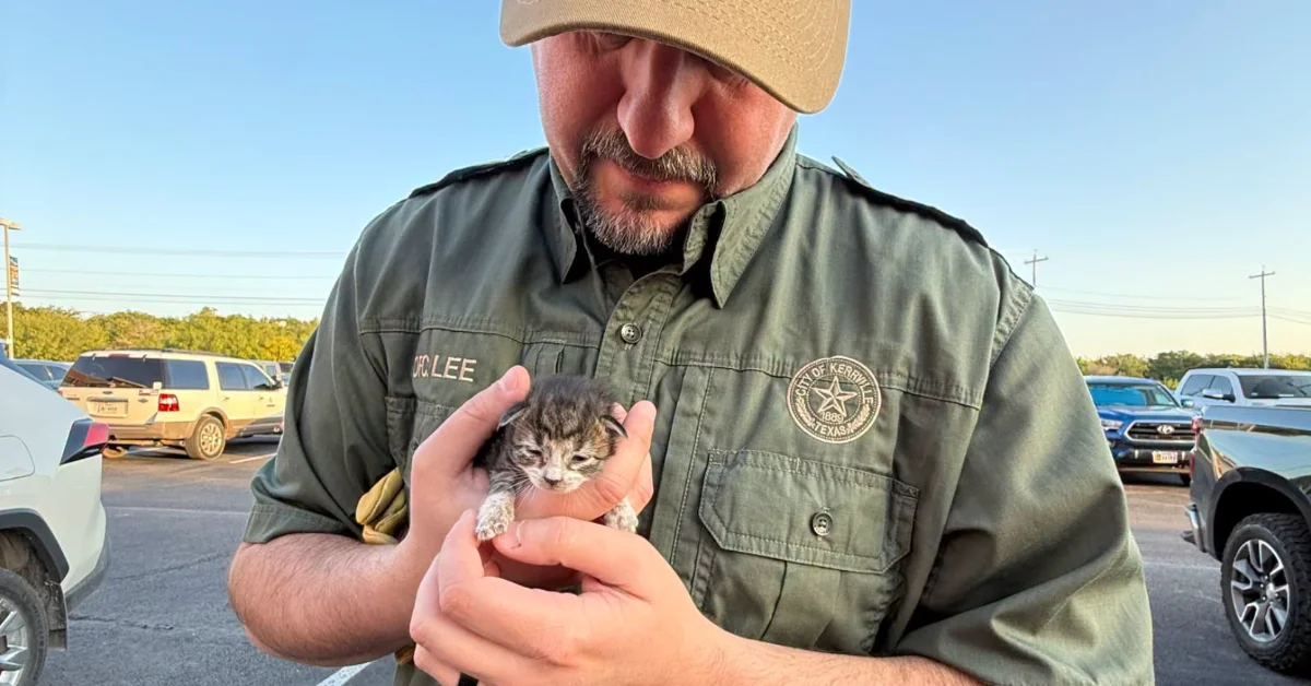 A uniformed official holds a small tabby kitten in a parking lot, looking down at the animal in his hands.