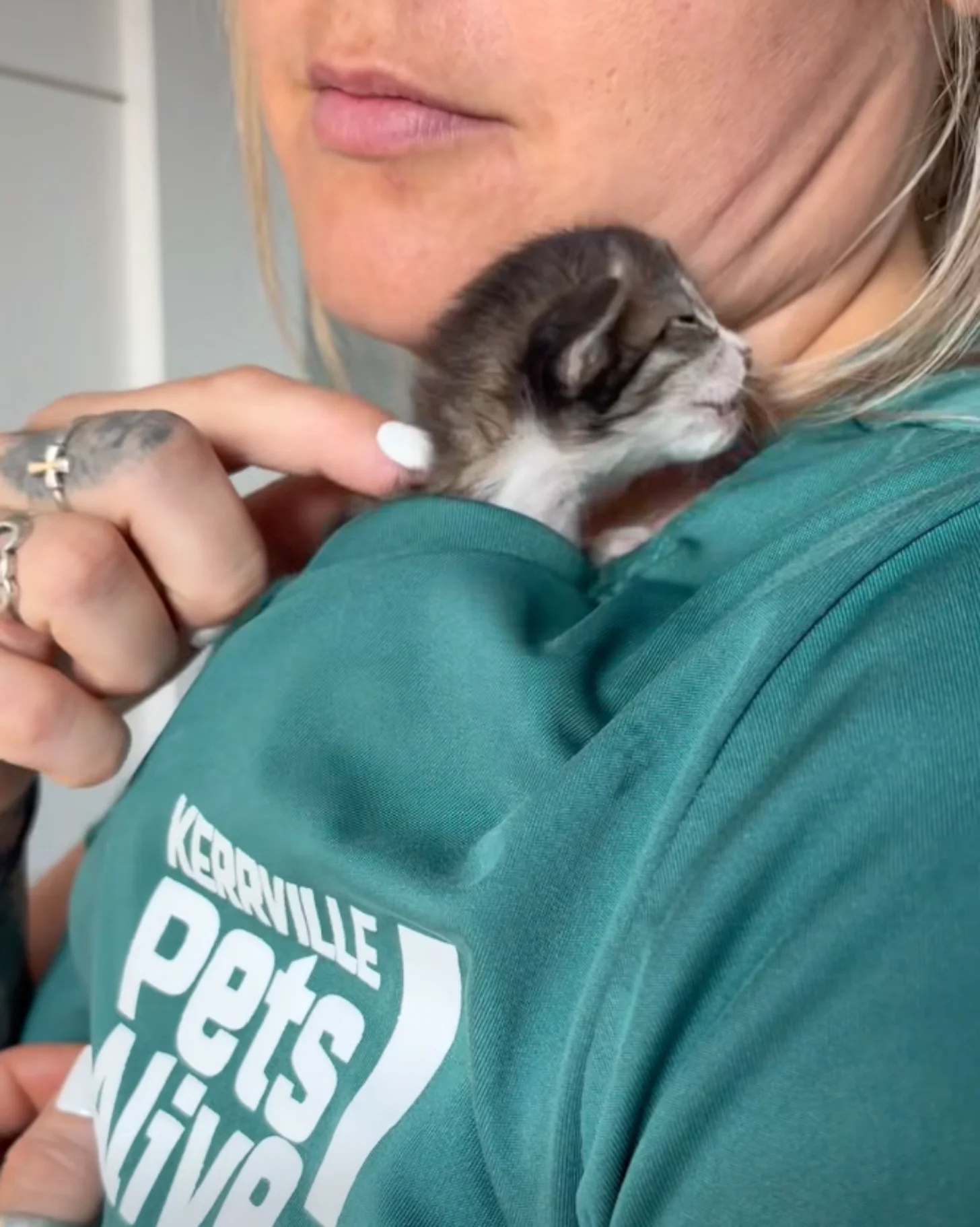 A person wearing a teal sweatshirt with "KERRVILLE PETS ALIVE!" text holds a small gray and white kitten against their shoulder.