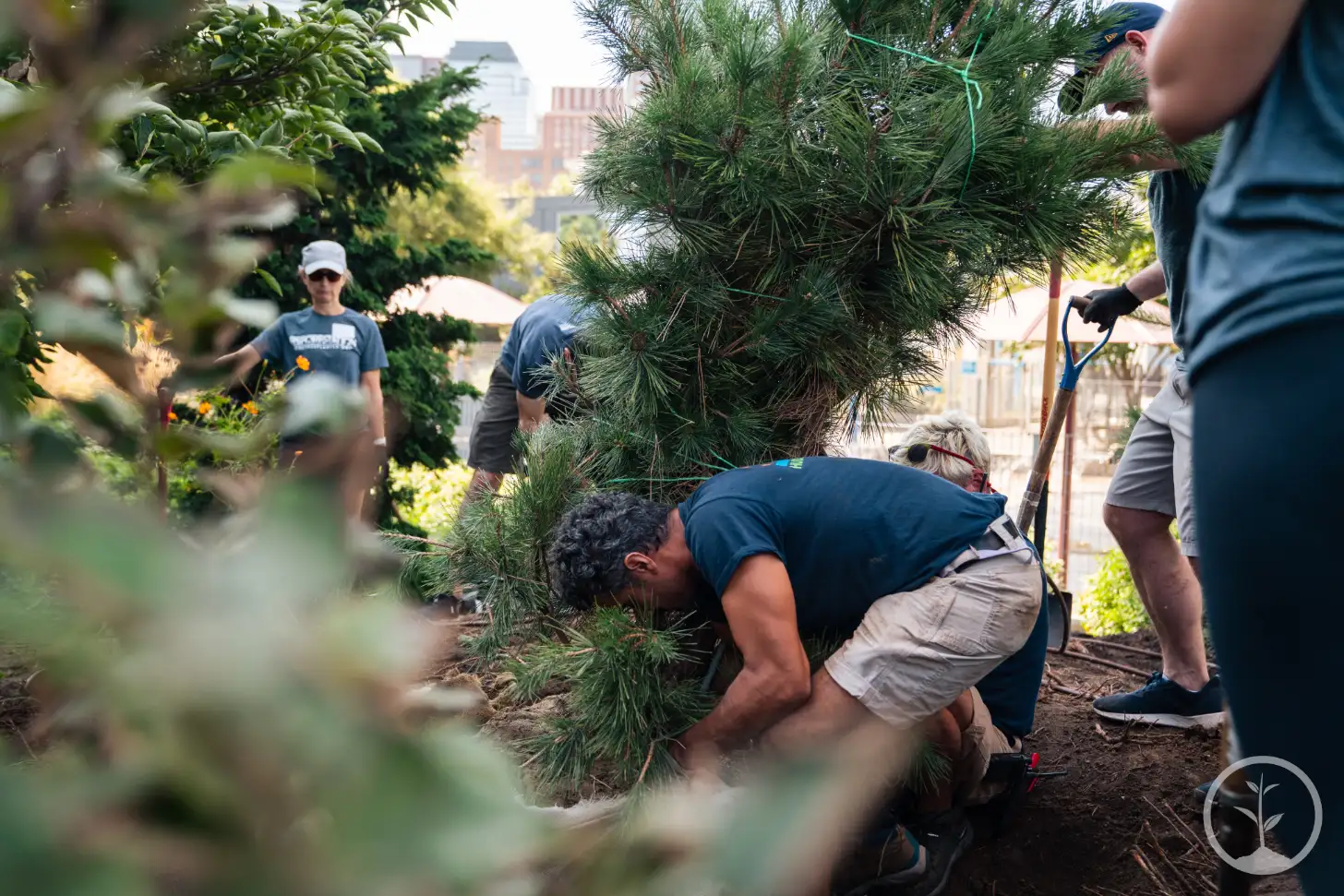 A person in a dark blue shirt and khaki shorts bends down to work with a potted evergreen plant while several other people assist in a garden bed. City buildings are visible in the background.