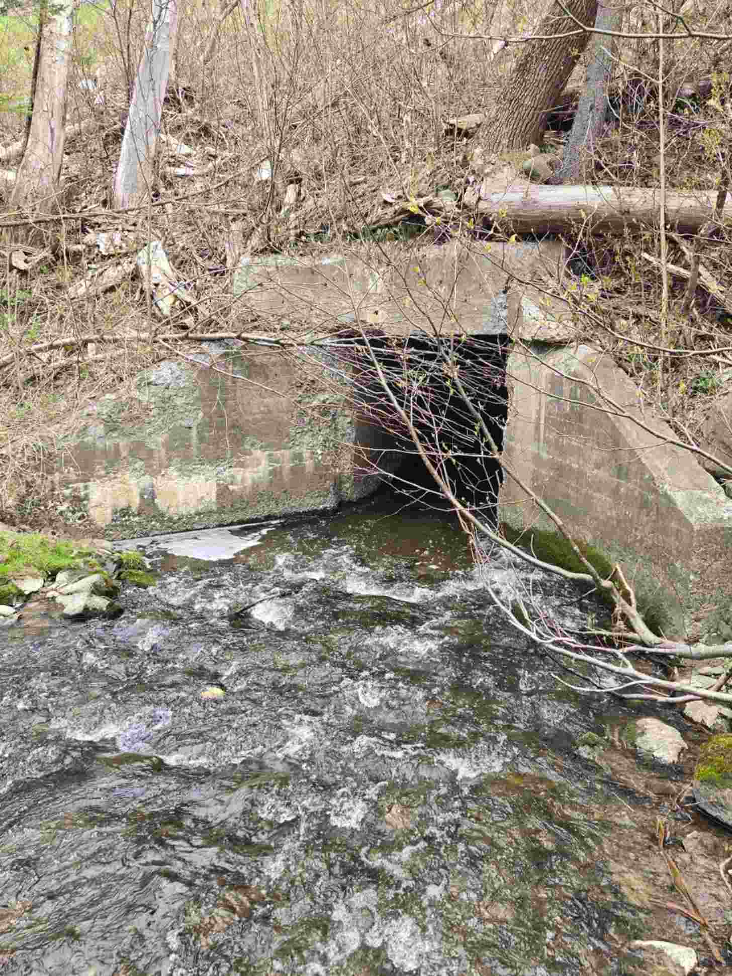 A stream flows past a concrete culvert beneath bare trees and fallen logs in a wooded area.