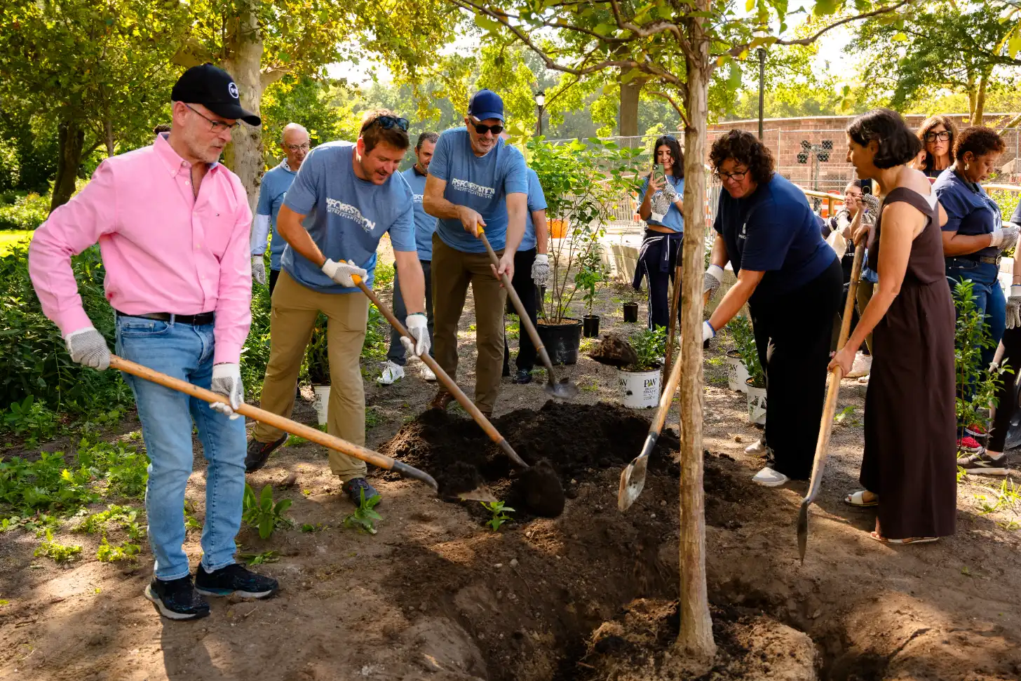 A group of people with shovels work together to dig a hole in soil during an outdoor planting event in a park, with spectators watching from behind.