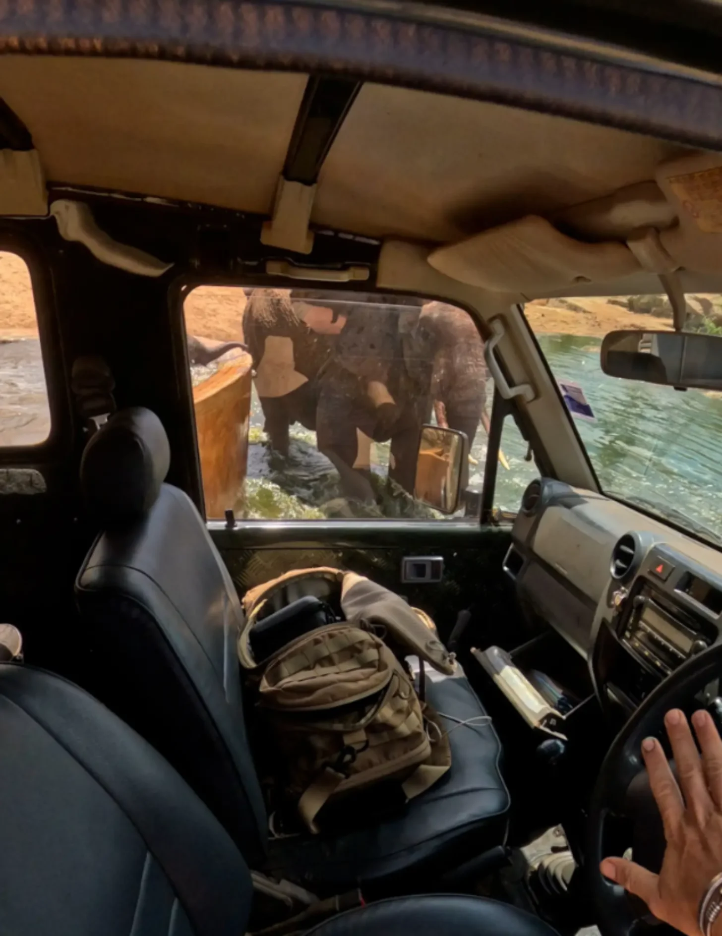 Interior view of a vehicle parked near water, with an elephant standing outside the passenger window near the shoreline.