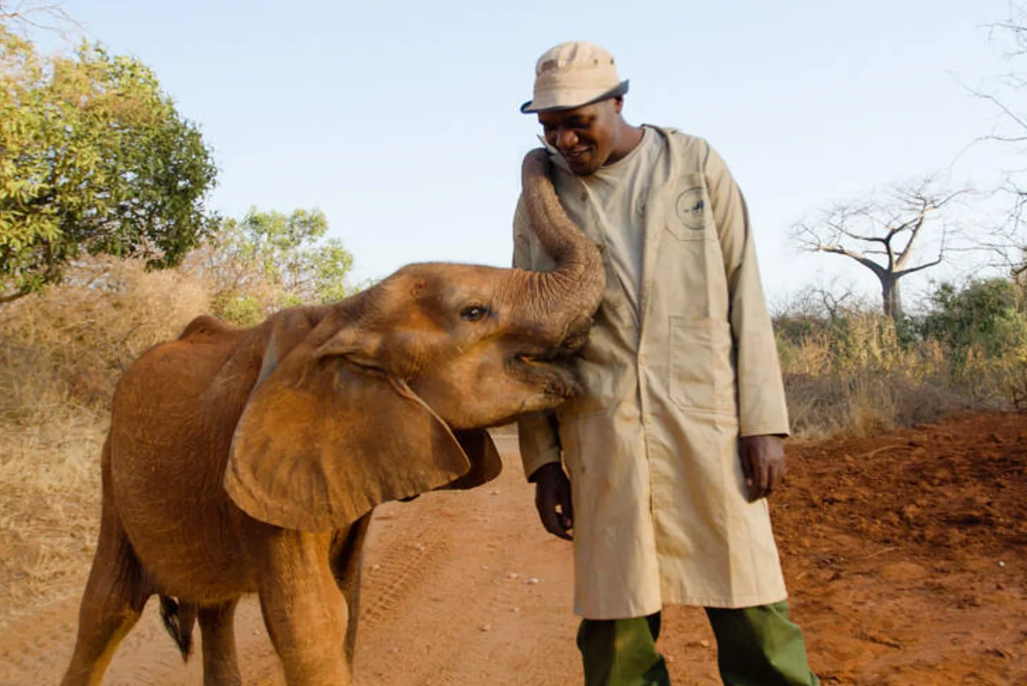 A man in a tan coat and cap stands beside a young brown elephant that is touching his chest with its trunk.