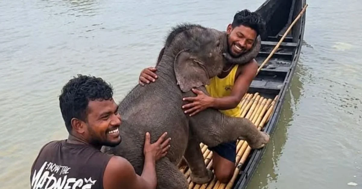 Two men in a wooden boat smile while petting a young elephant in shallow water.