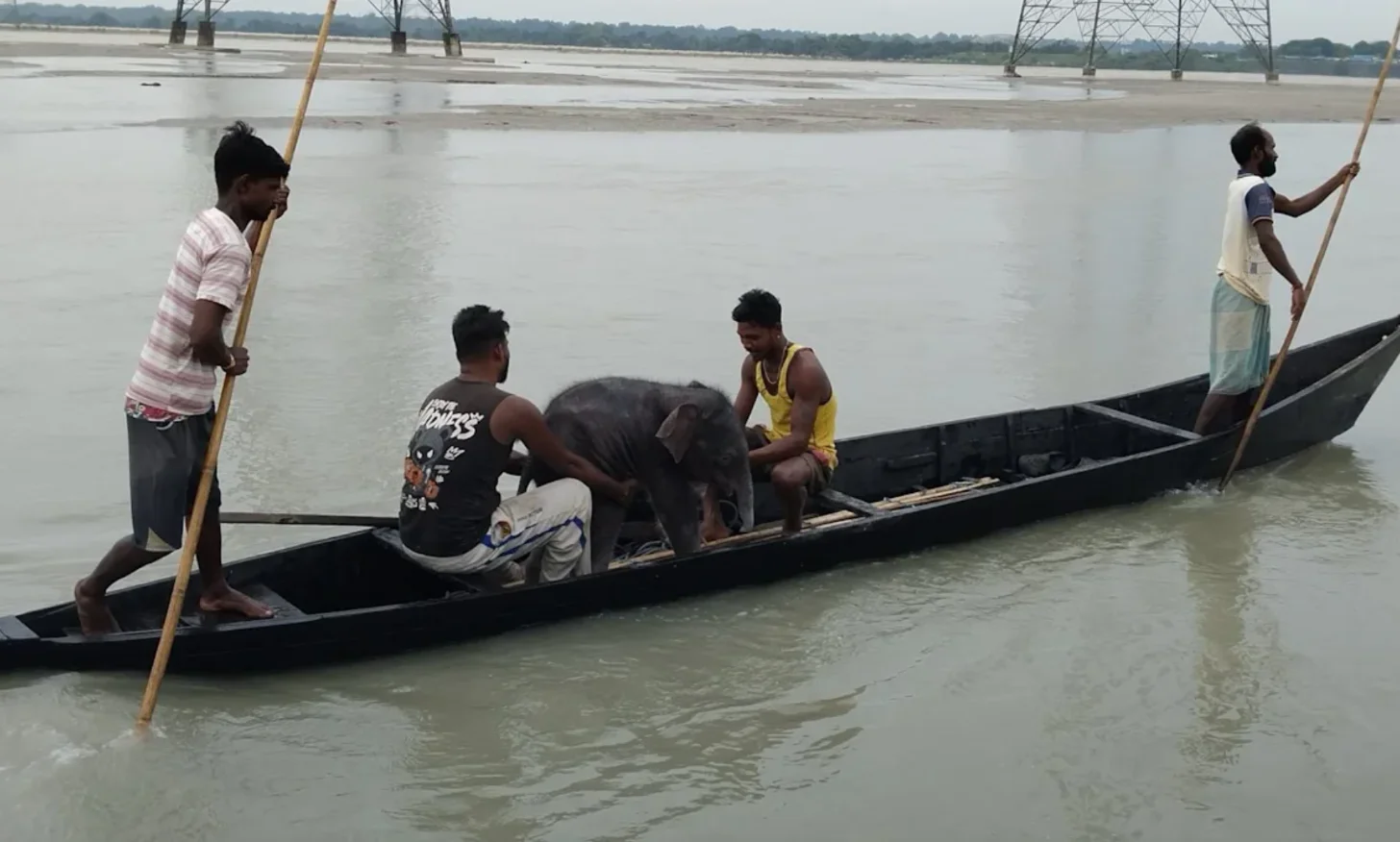Five men in a long narrow boat on a wide, shallow river. Two men hold wooden poles while three others sit in the boat. Power transmission towers and forested shoreline visible in the background.