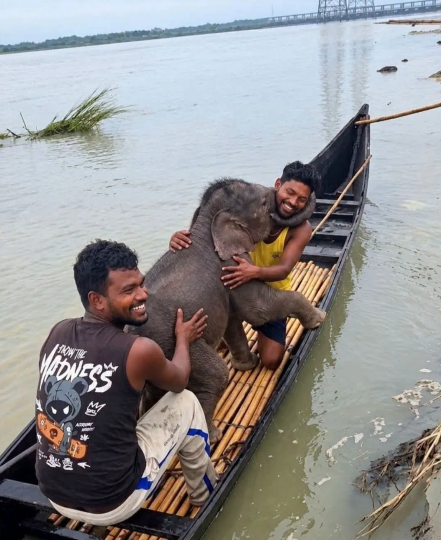 Two men sit in a wooden boat on a river, petting a young gray elephant standing between them. Both men are smiling at the camera.