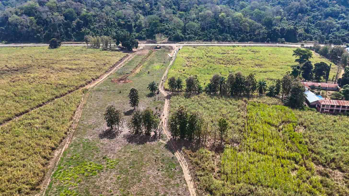 Aerial view of agricultural fields with rows of crops, dirt roads, scattered trees, farm buildings with red roofs, and dense forest in the background.