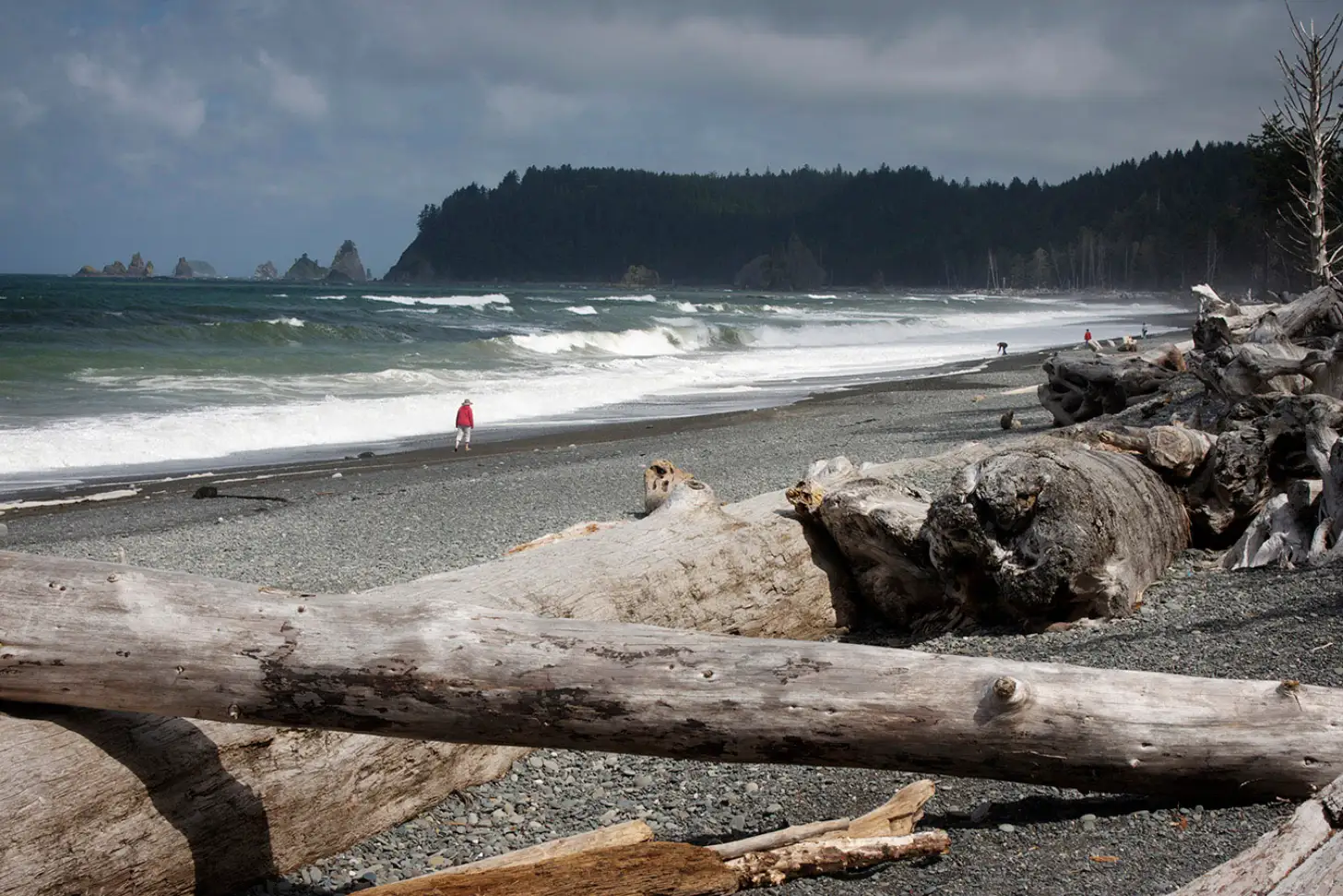 A rocky beach strewn with driftwood logs faces rough ocean waves. Dense evergreen forest lines the shore in the background, with a person in a red jacket and several others visible on the gray sand and in the water.