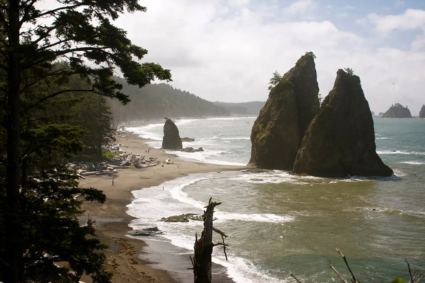 Two tall rocky sea stacks rise from the ocean near a sandy beach lined with driftwood and evergreen trees, with forested headlands visible along the coastline under a cloudy sky.