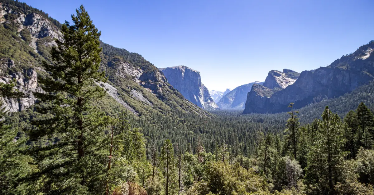 A forested valley framed by steep granite cliffs and mountains under clear blue sky. Tall coniferous trees cover the valley floor and lower slopes, with bare rock faces visible on the upper peaks.