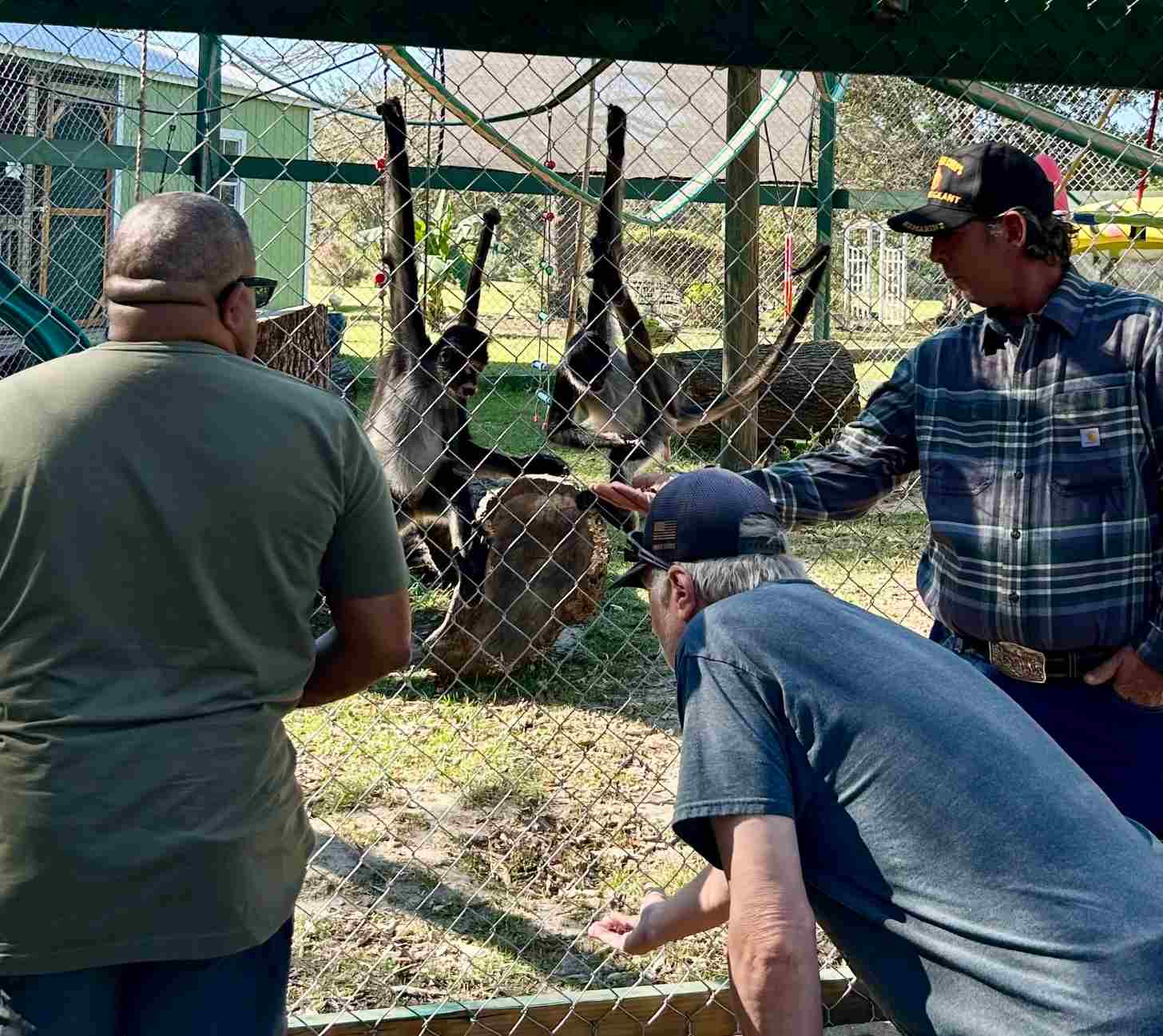Four people stand outside a fenced enclosure with several monkeys. The person on the right in a plaid shirt and cap is feeding or petting one of the animals through the chain-link fence.