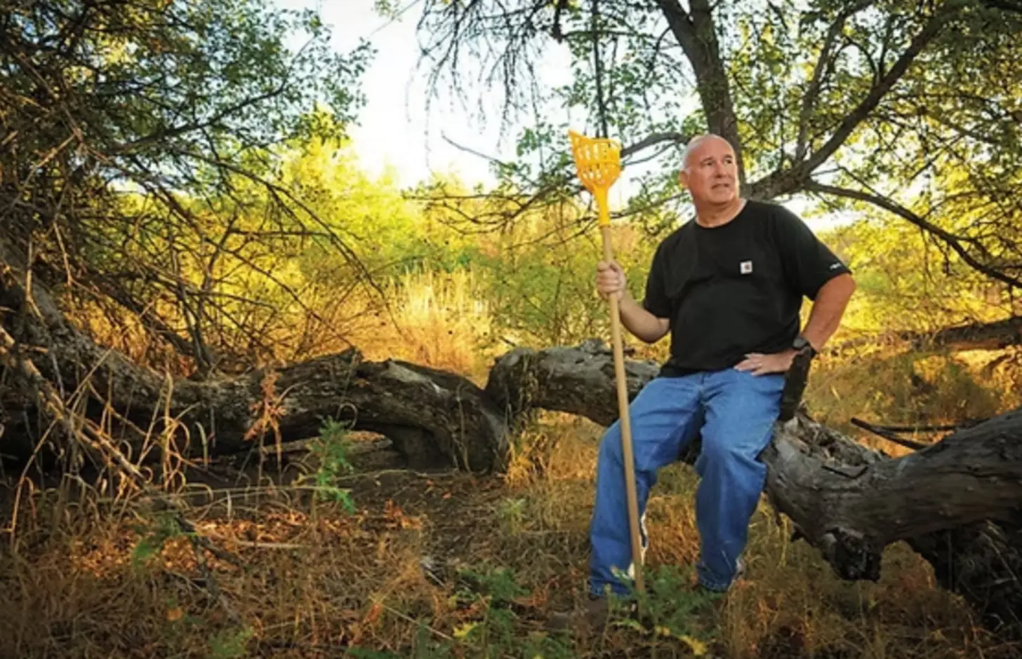 A man in a black shirt and blue jeans sits on a fallen log in a wooded area, holding a yellow-handled shovel and looking upward among trees with autumn foliage.
