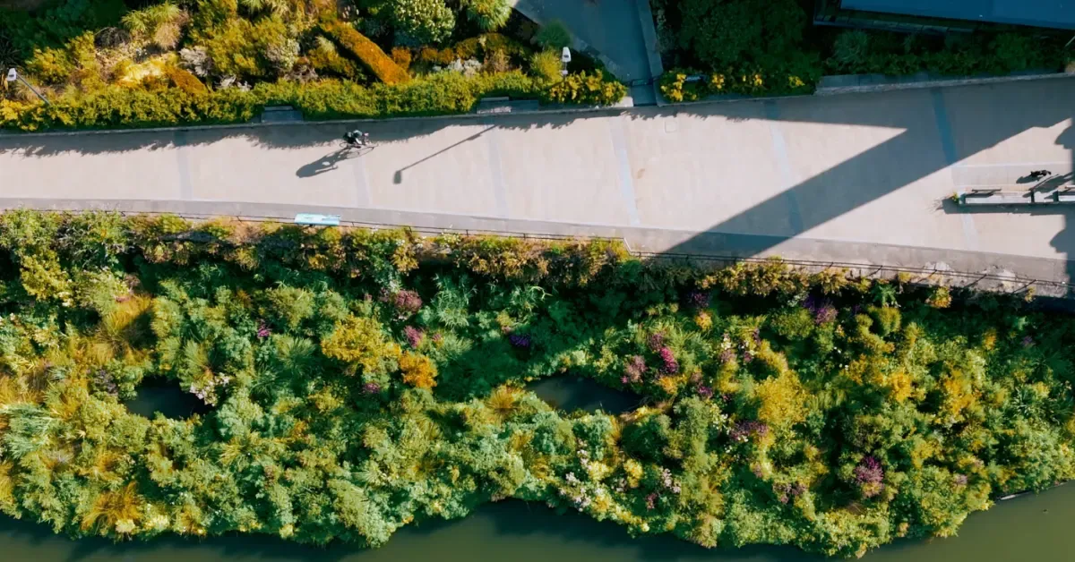 Aerial view of a river bordered by dense green and yellow foliage on one bank, with a paved area and landscaping visible on the opposite bank where a person rides a bicycle.