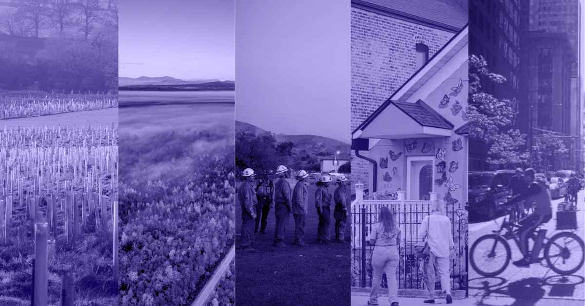 A photo collage of newly planted tree stems, a vast and foggy field, firefighters lined up in a row, two women walking in front of a house, and a man on his bicycle