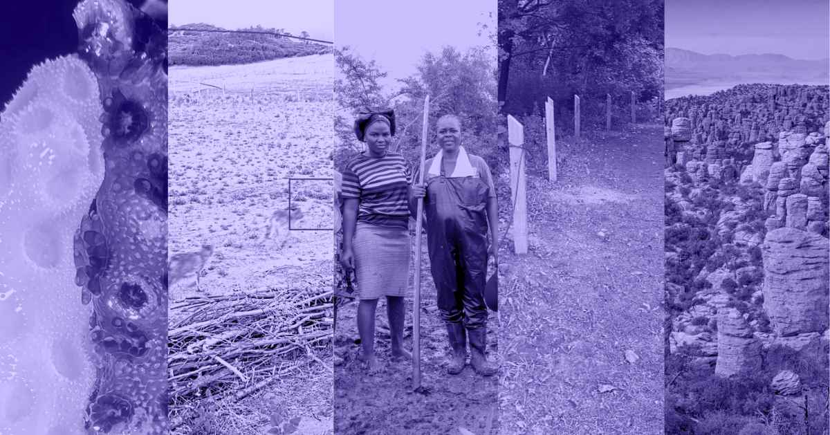 A photo collage of a close-up of a textured natural surface, a dry agricultural field, two women standing together outdoors holding farming tools, a tree-lined dirt path with fence posts, and a rocky landscape filled with tall stone formations.