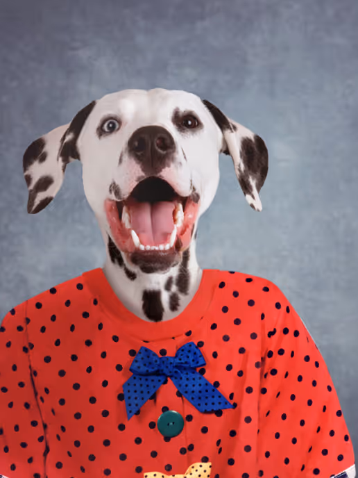 dalmation