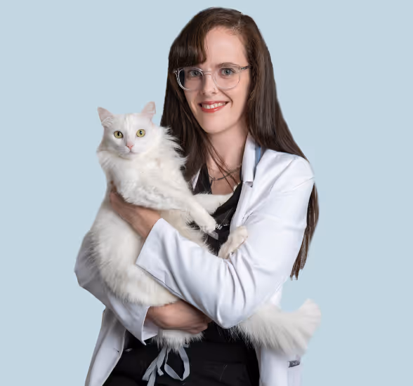 Pearly Bites Veterinary NYC and FL