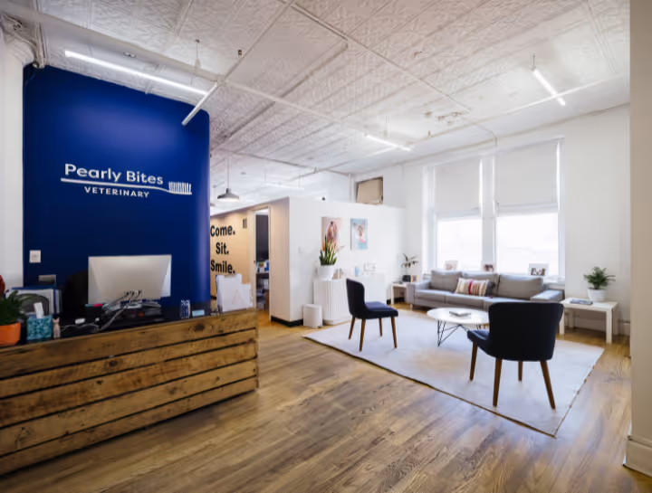 Pearly Bites Veterinary NYC