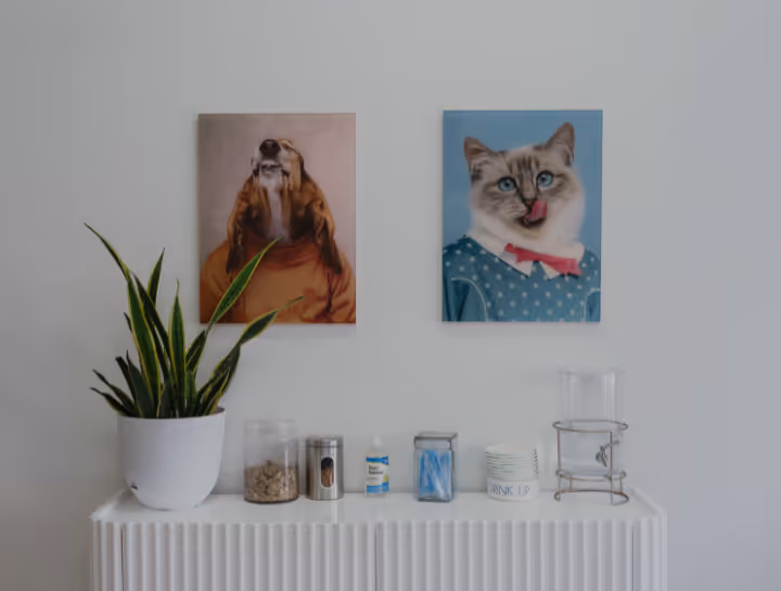 Florida Schedule Appointment