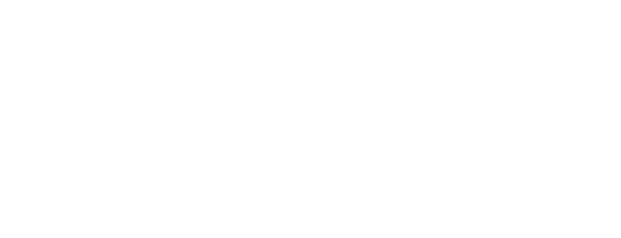 Navita MSP logo