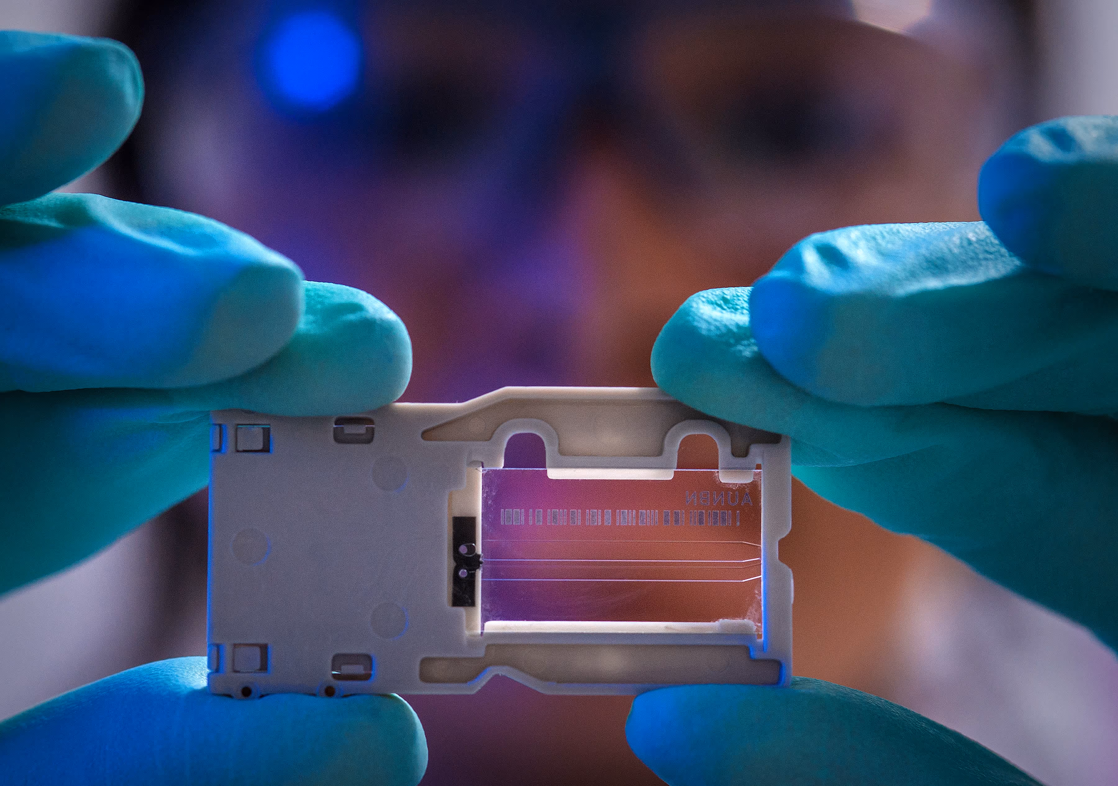 Forskare med skyddshandskar håller upp laboratorieprov, symbol för bioteknik, medicinsk forskning och innovation.