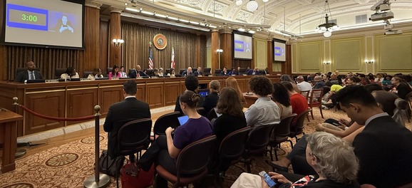 council first budget vote