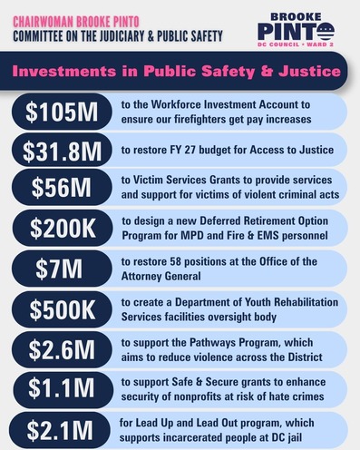public safety