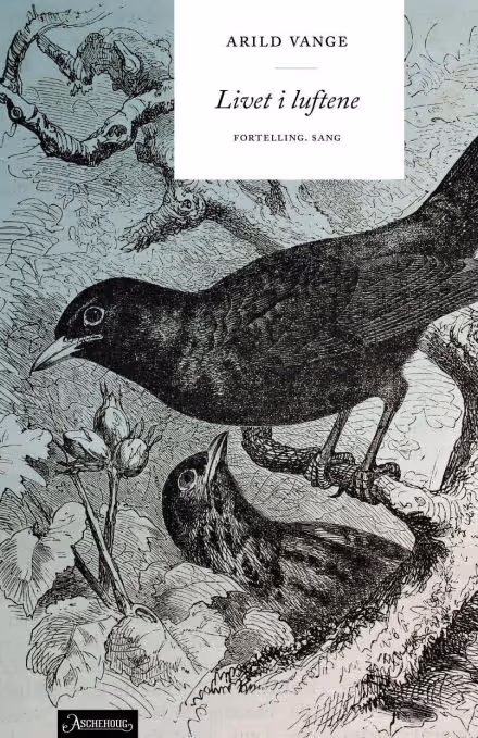 Omslaget til vinnaren av NTNUs litteraturpris romanen "Livet i luftene"