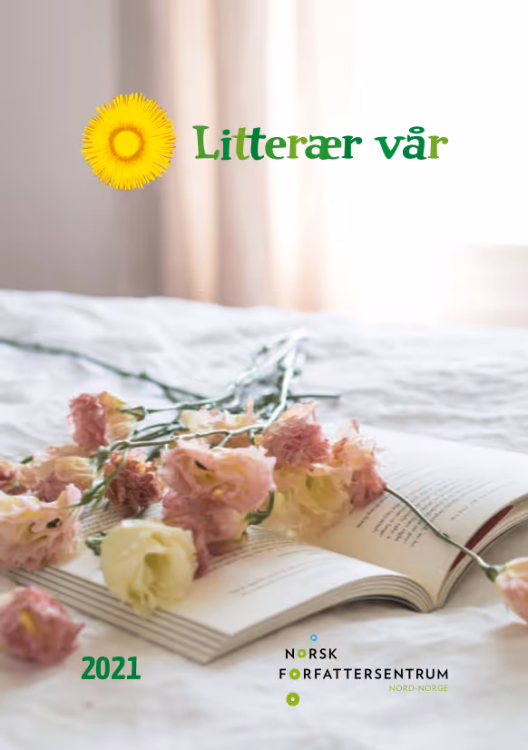 Katalogframside – trykk på bildet for å åpne PDF av katalogen.