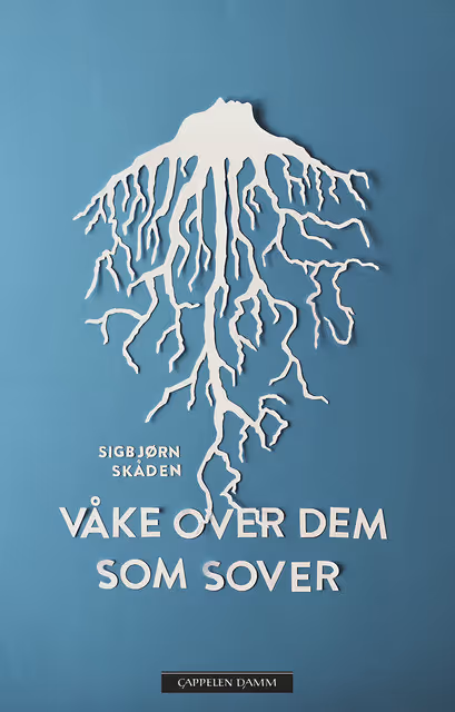 Omslaget til Våke over dem som sover av Sigbjørn Skåden.