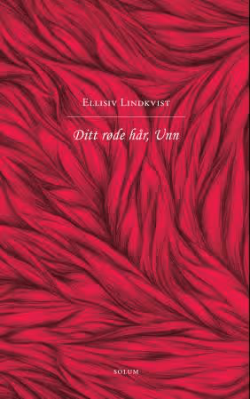 Omslaget til vinnerboka.