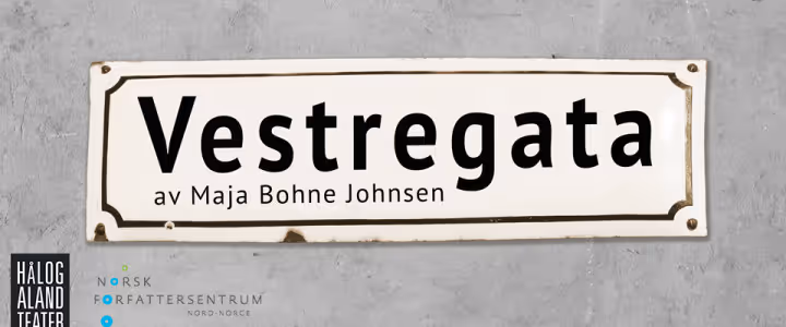 LITTERATEN: Vestregata