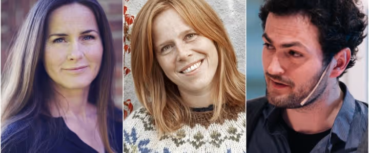 Fakta om fiksjon - Storebarnsliv