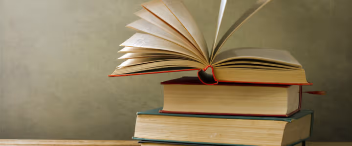 Fagdag for litteratur i Den kulturelle skolesekken